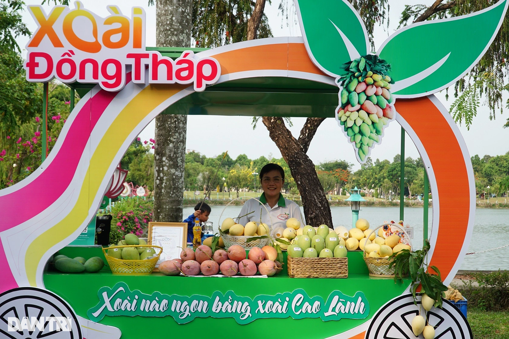 Nâng tầm vị thế cho trái xoài Đồng Tháp - 2 Nâng tầm vị thế cho trái xoài Đồng Tháp - 2