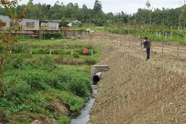 Nhà máy đường bị phạt gần nửa tỷ đồng vì xả nước thải bẩn ra môi trường