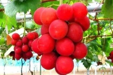 4 loại quả quý hiếm trên thế giới, có tiền chưa chắc đã được ăn