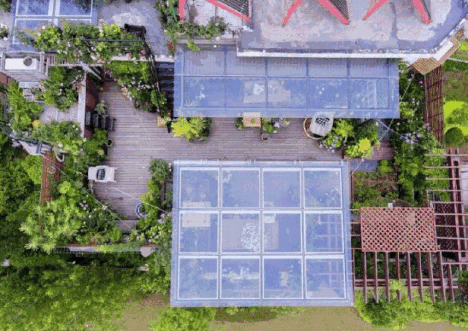 Mẹ cùng con gái biến sân thượng thành thiên đường trăm loài hoa - 6 Mẹ cùng con gái biến sân thượng thành thiên đường trăm loài hoa - 6