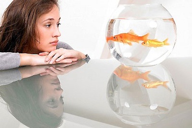 Gái một con ăn “quả đắng” từ “lính phòng không” 