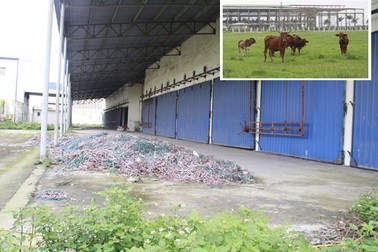 Cắt giảm 9000 ha đất khu công nghiệp để hoang hóa