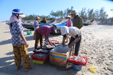 Ra khơi vài giờ, ngư dân trúng loại cá "mềm nhũn như cháo" thu tiền triệu
