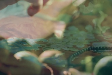 Bã xã Việt Hoàn ma mị trong "Chiều phủ Tây Hồ"