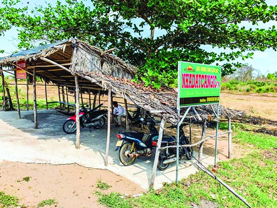 Không dễ sốt đất Cần Giờ - 1 Không dễ sốt đất Cần Giờ - 1