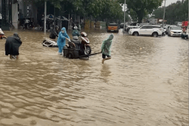 Tài xế Việt than trời, chia sẻ hình ảnh độc lạ trên đường ngày mưa ngập