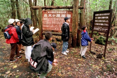Khu rừng tự sát rợn tóc gáy ở Nhật Bản