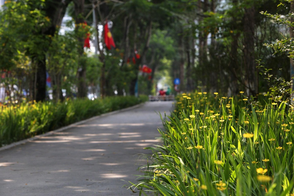 Mãn nhãn những con đường rợp bóng cây xanh ở Hà Nội - 4 Mãn nhãn những con đường rợp bóng cây xanh ở Hà Nội - 4