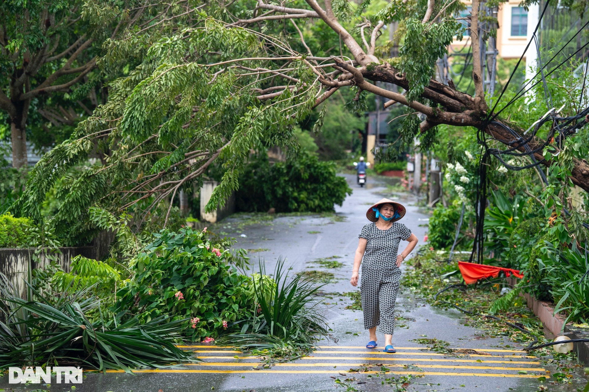 Người phụ nữ thoát chết khi mái tôn tầng 2 đổ ập xuống trước cửa nhà - 1 Người phụ nữ thoát chết khi mái tôn tầng 2 đổ ập xuống trước cửa nhà - 1
