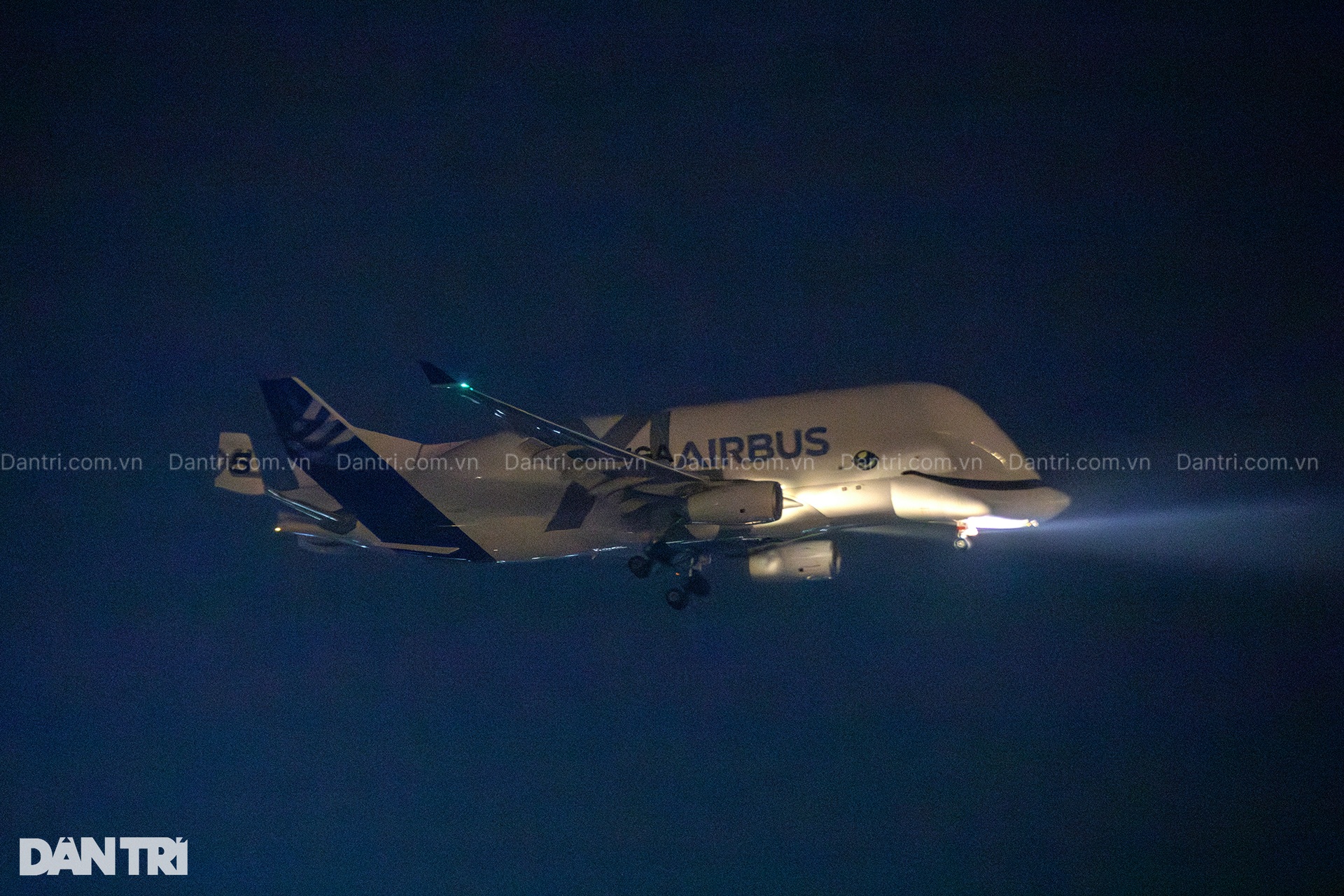 Siêu máy bay vận tải Airbus Beluga XL cá voi trắng lần đầu đến Việt Nam - 1 Siêu máy bay vận tải Airbus Beluga XL cá voi trắng lần đầu đến Việt Nam - 1