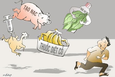 “Đành phải cầm lòng, dân hỏi nhau!”