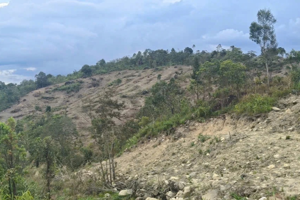 Nhóm người dùng máy xúc cào xới, lấn chiếm đất lâm nghiệp - 2