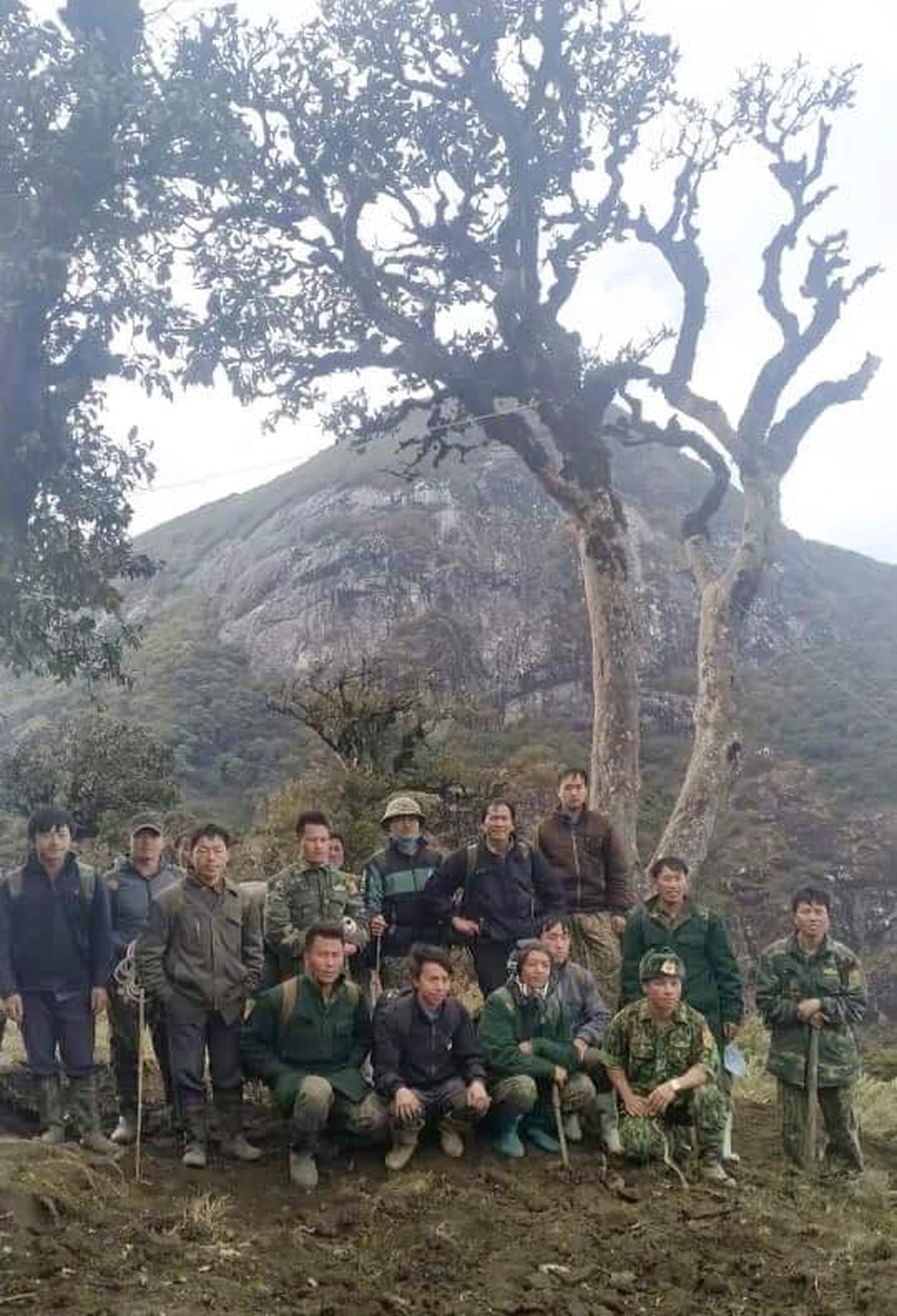 Giải cứu cây hoa đỗ quyên đại thụ bị đổ trên núi Ky Quan San - 2 Giải cứu cây hoa đỗ quyên đại thụ bị đổ trên núi Ky Quan San - 2