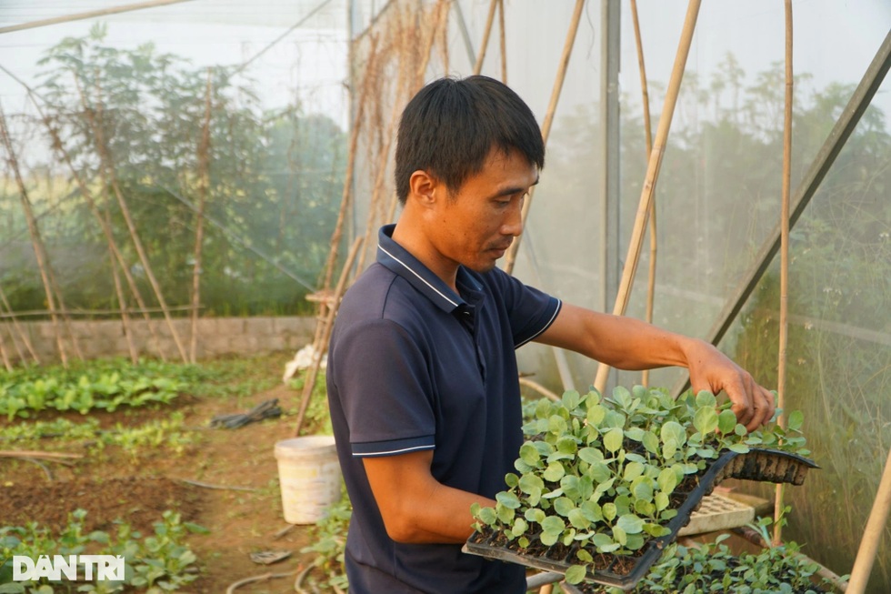 Cặp vợ chồng suýt bị bố mẹ từ mặt vì bỏ phố về quê làm nông nghiệp sạch - 5 Cặp vợ chồng suýt bị bố mẹ từ mặt vì bỏ phố về quê làm nông nghiệp sạch - 5