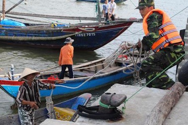 Xem tổng diễn tập phòng chống lụt bão, cứu nạn trên biển