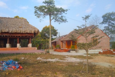 Vụ "xẻ thịt" đất lâm nghiệp: Sẽ cưỡng chế tháo dỡ công trình vi phạm