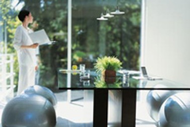 Bí kíp chọn cây cảnh