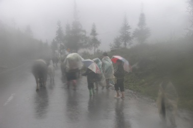 Sa Pa lạnh 3 độ C, người dân khốn đốn vì rét hại