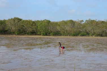 Sóc Trăng: Nhiều tiềm năng phát triển năng lượng tái tạo
