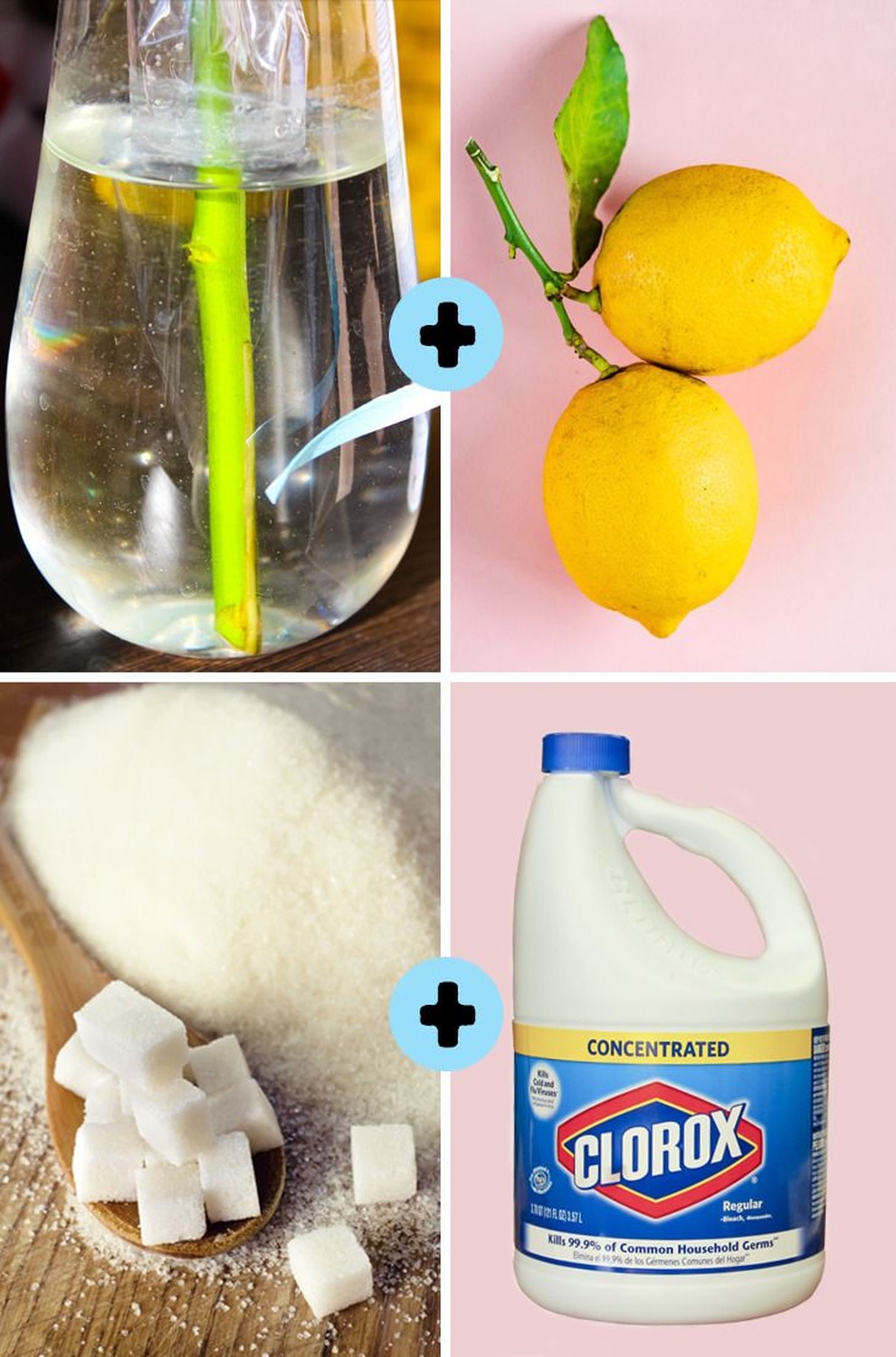 7 cách đơn giản giúp hoa tươi lâu tại nhà - 2 7 cách đơn giản giúp hoa tươi lâu tại nhà - 2