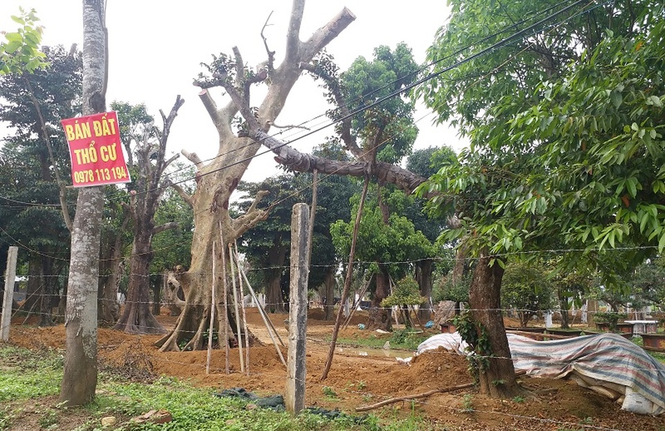 Thị trường bất động sản Hà Nội năm 2020: Đất nền lên ngôi - 2 Thị trường bất động sản Hà Nội năm 2020: Đất nền lên ngôi - 2