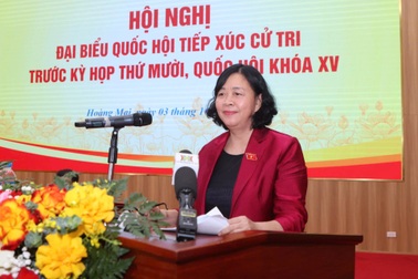 Bí thư Hà Nội nói về tình trạng thành phố "cứ mưa là ngập"