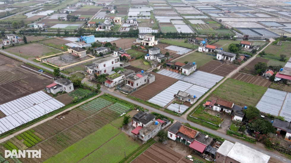 Lão nông bất ngờ thành tỷ phú và câu chuyện đất đai khuấy đảo vùng quê - 4 Lão nông bất ngờ thành tỷ phú và câu chuyện đất đai khuấy đảo vùng quê - 4