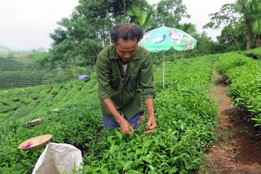 Rà soát, tích hợp chính sách giảm nghèo