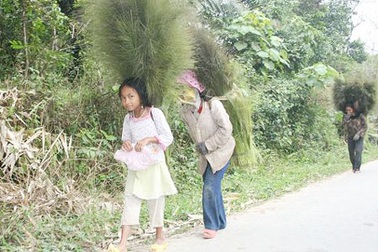 Đầu xuân người Cơtu đi hái “lộc” rừng