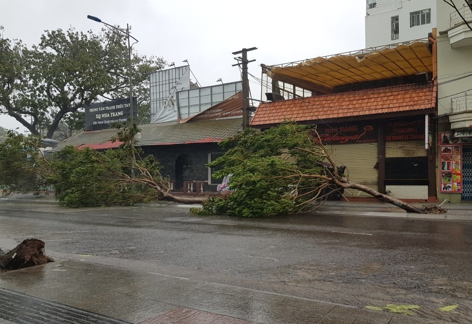 Đường phố Nha Trang tan tác trong bão số 12 - 2 Đường phố Nha Trang tan tác trong bão số 12 - 2
