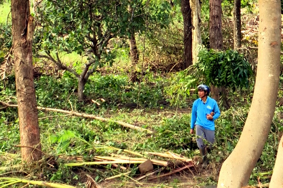 Tan hoang sau vụ vỡ tường đập thủy điện - 5 Tan hoang sau vụ vỡ tường đập thủy điện - 5