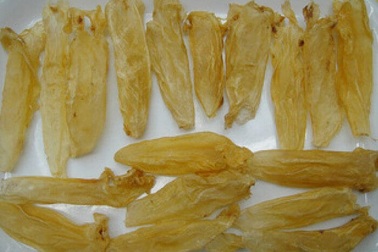 Bong bóng cá sủ vàng 1 tỷ đồng/kg: Đại gia đặt tiền, chờ cả năm trời