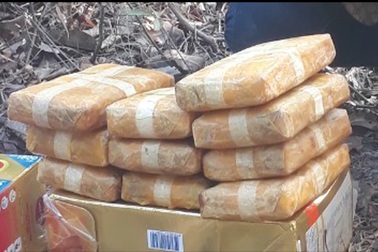 Bắt 4 đối tượng người Lào vận chuyển 60 ngàn viên ma tuý tổng hợp