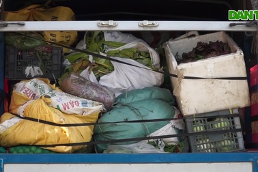 Người Quảng Nam hái rau, góp gạo tiếp sức Đà Nẵng chống dịch