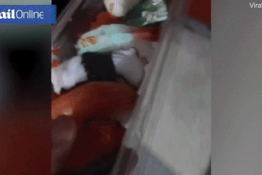 Giật mình phát hiện miếng tôm sống phát ra ánh sáng màu xanh kỳ lạ