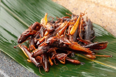 Đậu tương lên men, côn trùng và những đặc sản Nhật Bản có mùi vị độc đáo