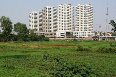 Chính phủ rút đề xuất sửa đổi Luật Đất đai