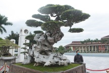 Ngỡ ngàng với huyền thoại sanh cổ ký đá kỳ vĩ nhất Việt Nam