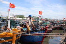 Hải Phòng, Quảng Ninh triển khai lực lượng lớn ứng phó bão Matmo