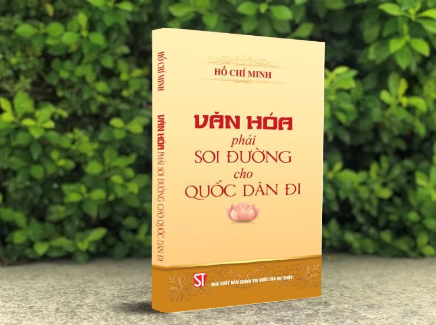 van-hoa-phai-soi-duong.png van-hoa-phai-soi-duong.png