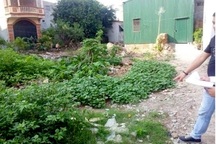 “Canh bạc” may rủi mua đất xen kẹt