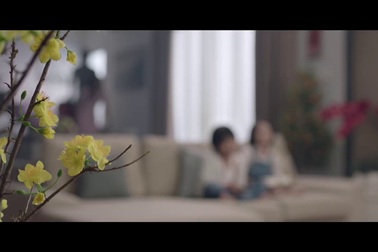 VTV Cab tung TVC Tết 2017