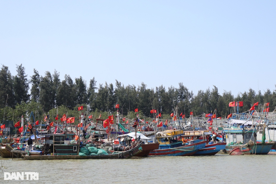 Giữa mùa biển lặng: Chủ tàu đỏ mắt tìm lao động ra khơi - 1 Giữa mùa biển lặng: Chủ tàu đỏ mắt tìm lao động ra khơi - 1