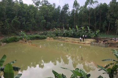 Về ngoại chơi Tết, cháu bé 8 tuổi gặp nạn ở hồ nước