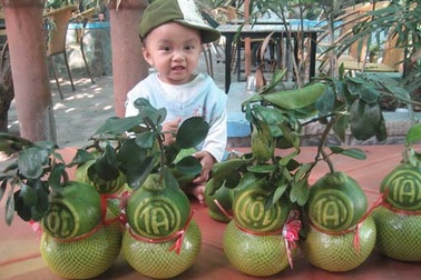 Chưa Tết, bưởi hồ lô đã “cháy” hàng