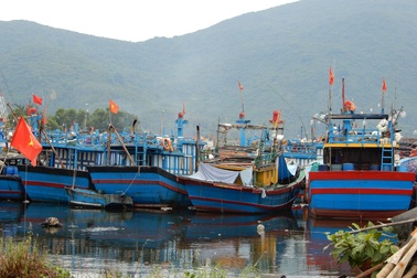 Hàng loạt tàu cá Đà Nẵng nằm bờ vì chiều dài dưới 15m