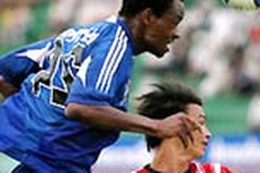 Mãnh hổ cùng đường