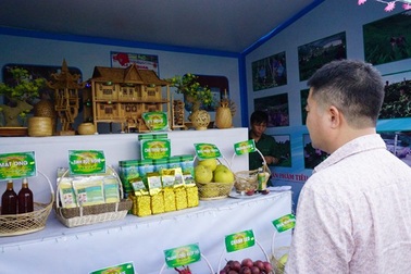 Chi gần 700 triệu đồng để đưa cử nhân, cao đẳng về làm việc tại HTX