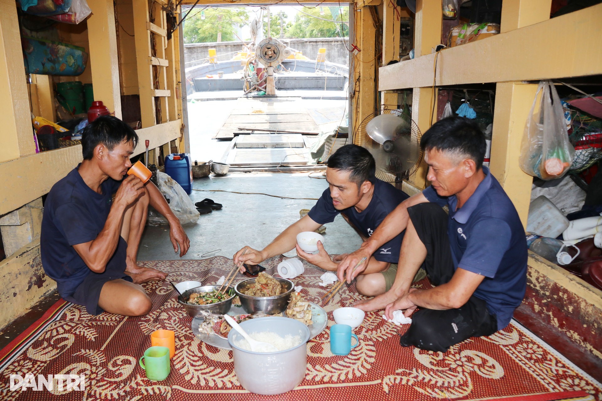 Ngư dân đưa tàu vào nơi tránh trú, theo dõi bão Ragasa qua điện thoại - 3 Ngư dân đưa tàu vào nơi tránh trú, theo dõi bão Ragasa qua điện thoại - 3