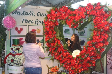 Những không gian hoa độc đáo chỉ có tại Lễ hội hoa Đà Lạt 2017